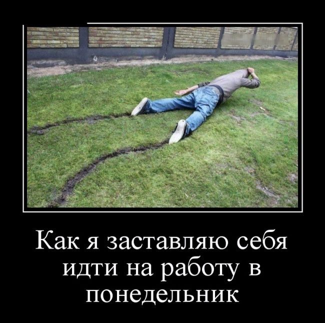 Micikarty tweet media