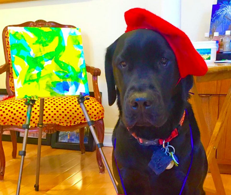 This #BlackLab nicknamed "#Dogvinci" is Amazing! ow.ly/ZL5Ue