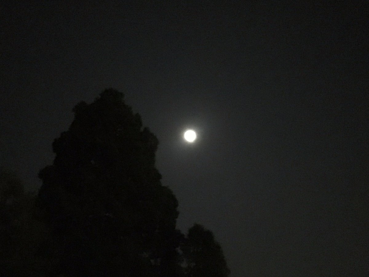 SocialfitCH's tweet photo. Denkst du gerade: „schöner Vollmond!“? Der ist erst am Mittwoch, dafür dann mit Vollmondlauf und Pizza-Essen ;) https://t.co/jxsChggqZ6