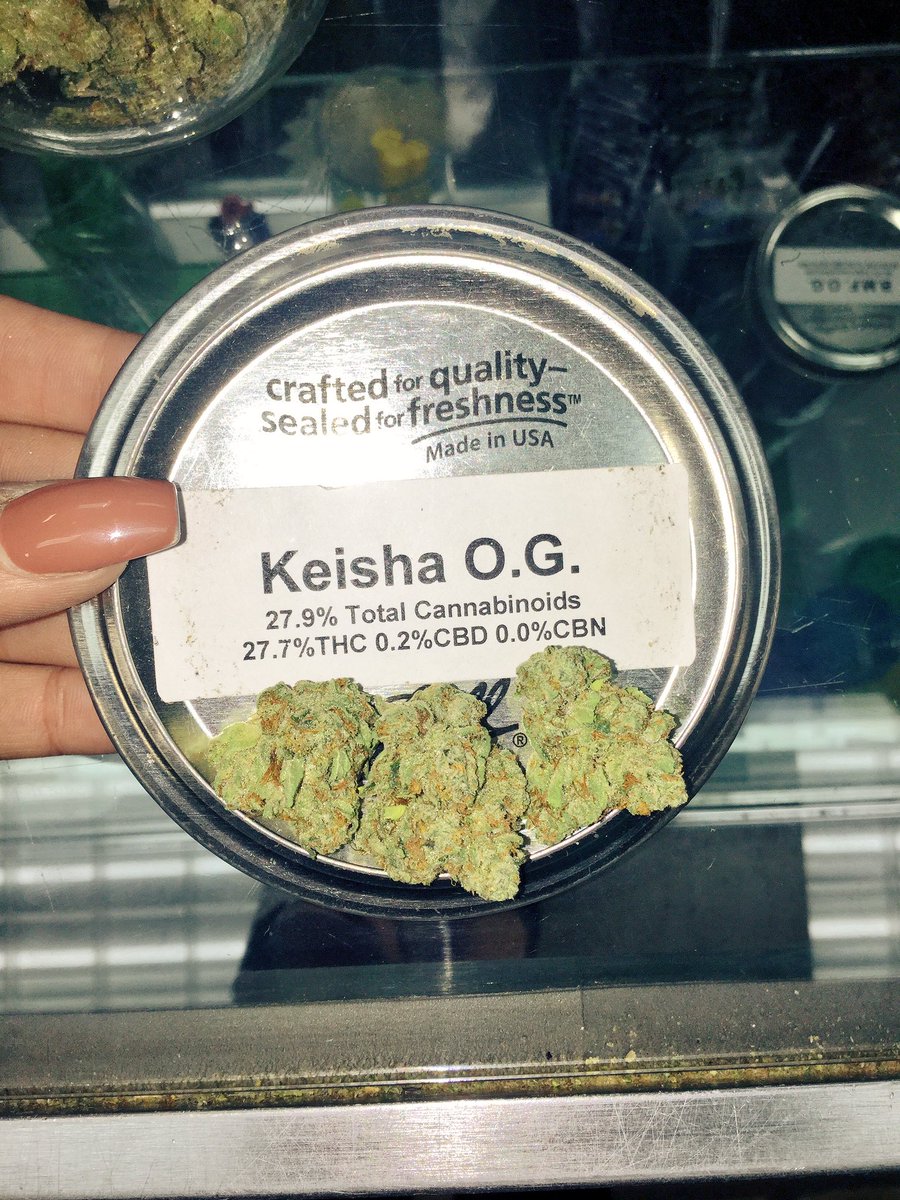 AbsoluteProp215's tweet photo. Come by the shop today and meet Keisha😜 https://t.co/glswvvRw92