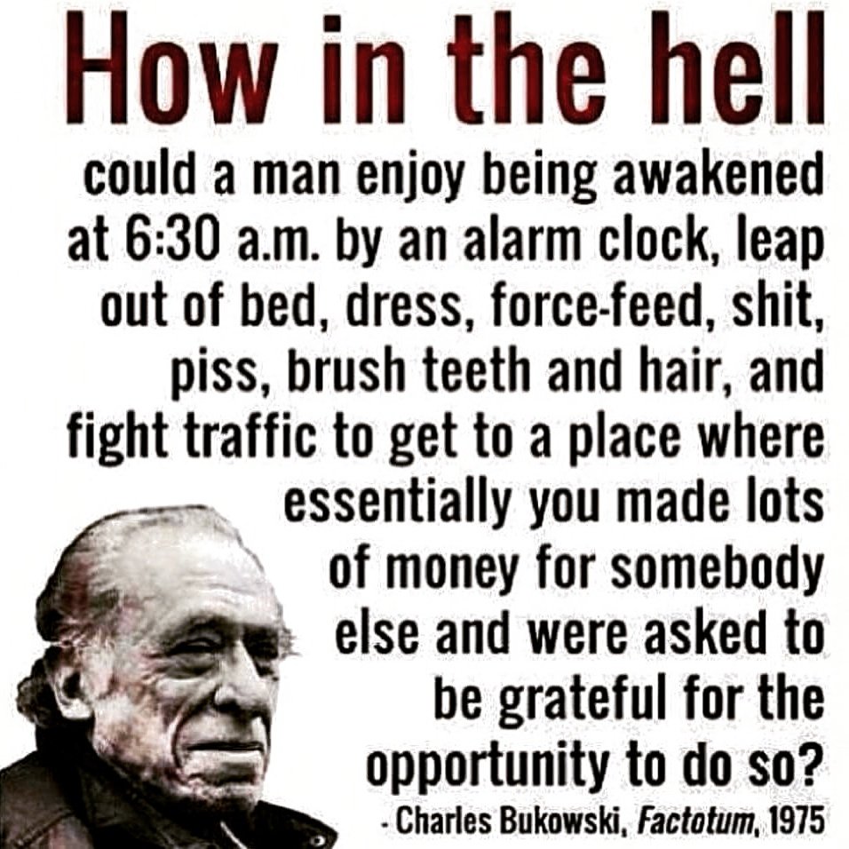 tristanjcarter3's tweet photo. #anotherwayoflife #mondaymotivation #WorkFromHome https://t.co/Jze8clHnBt