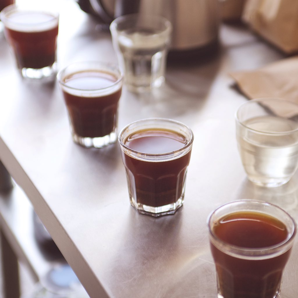 camioncoffee's tweet photo. Cupping our new arrivals along with a few samples. A lot of tasty coffees on this table! https://t.co/8ZyxgFLVpu