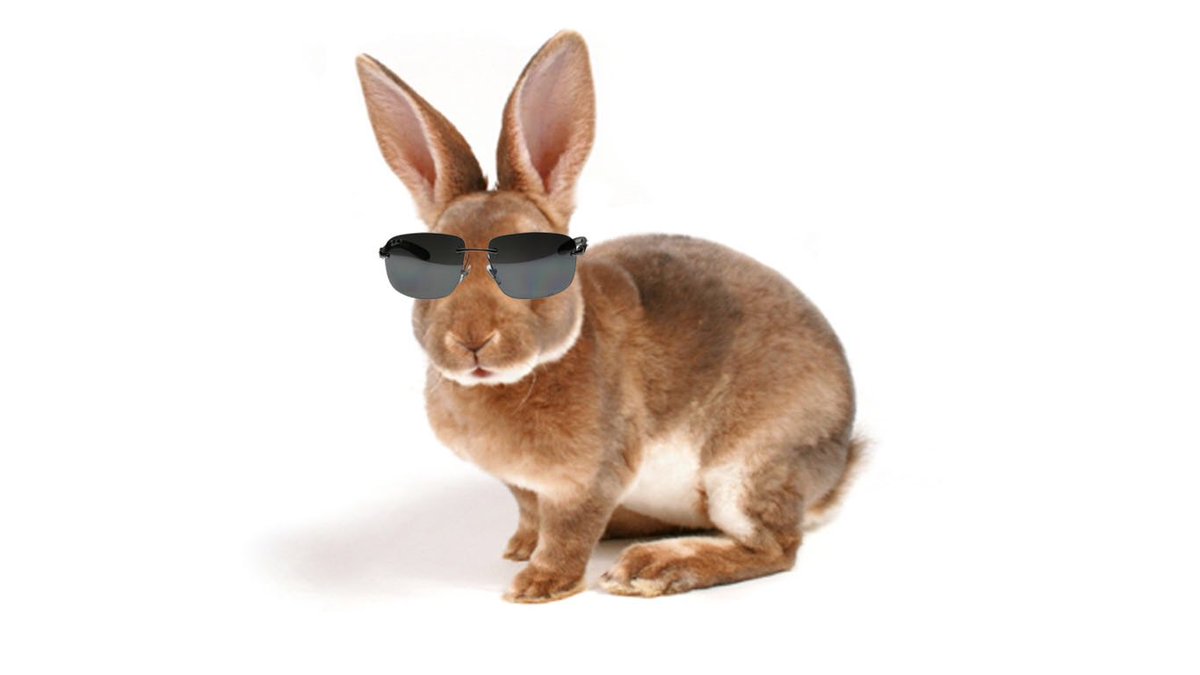 Lets hope it's a sunny Easter Weekend coming up, so we can whip out our sunnies!🐣☀️ #EasterEggstravaganza #LuxFamily