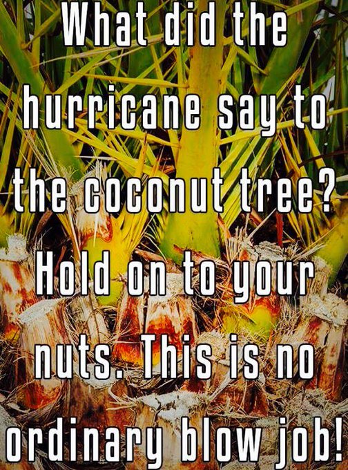 😂💋💋💋 #jokeoftheday https://t.co/LF8MAmktsB<a href="/tag/jokeoftheday"class="tags">#jokeoftheday</a>