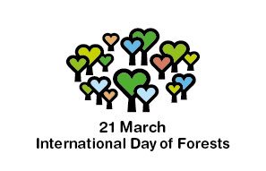 XLWOODbv's tweet photo. International Forests Day, een dag waarmee de VN aandacht vragen voor het belang van bossen! https://t.co/QtRRkvsuce