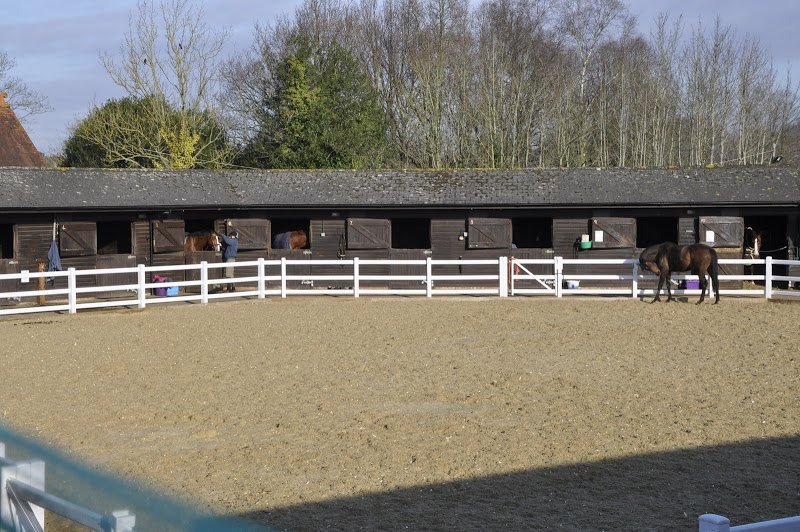 We are taking full liveries again! Open Day: Sunday 3rd April 2016 
More info » buff.ly/1SWwo3p #horsehour