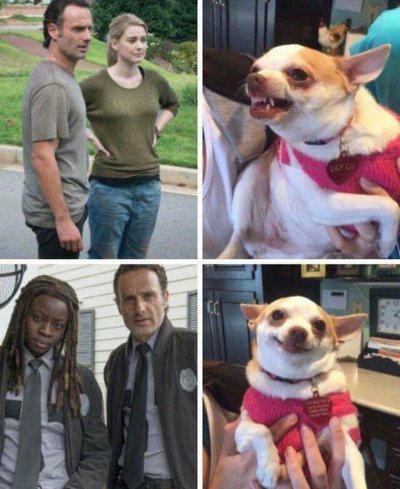 I'm still worried about #Caryl but I'm very happy for #Richonne 💟 
4 years of Caryl shipping, and 2,5 of Richonne.