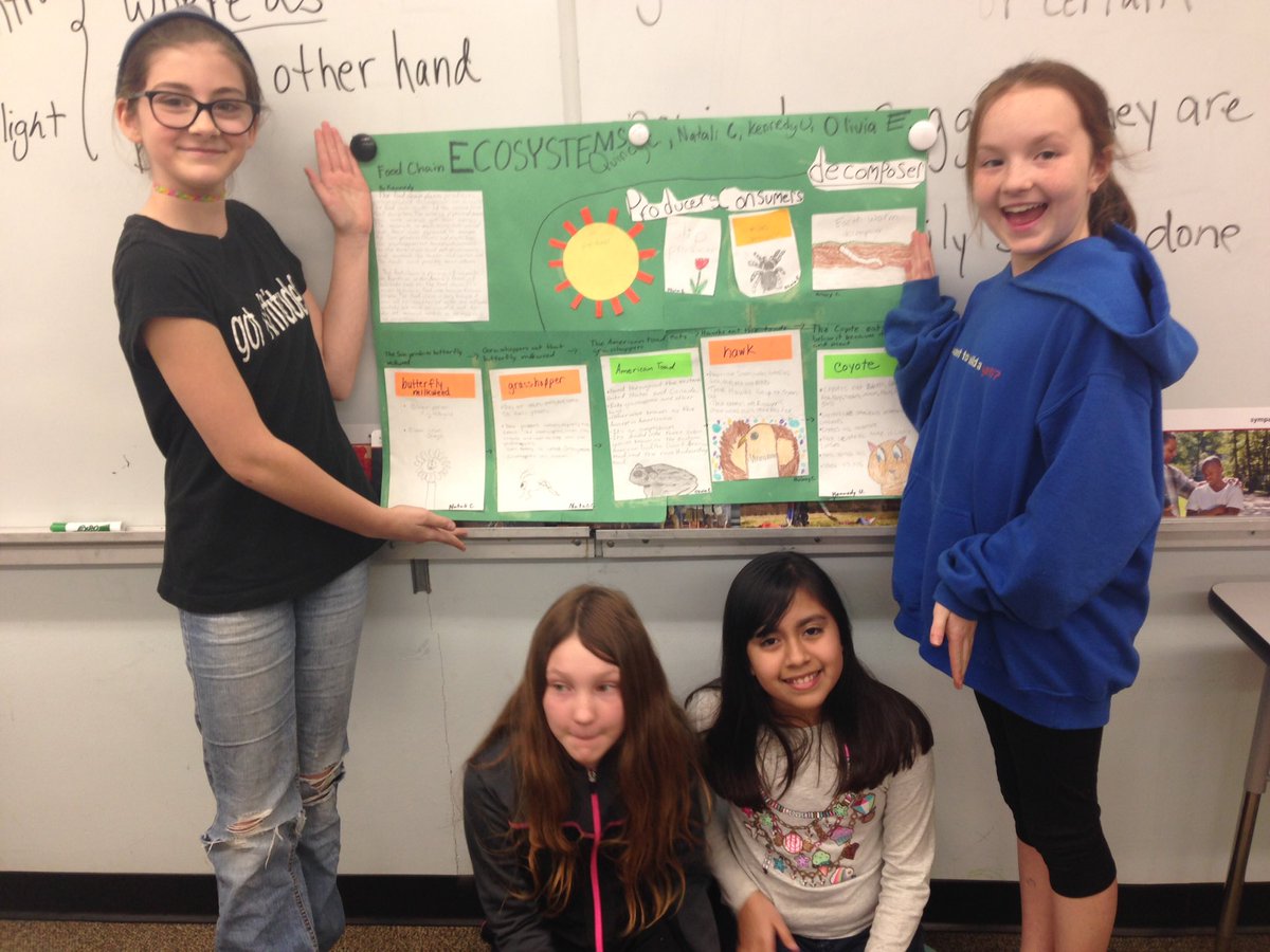 rhfreema's tweet photo. The Food Chain in a Prairie Ecosystem #Rockets512 #team512 https://t.co/prwmaZCgkd