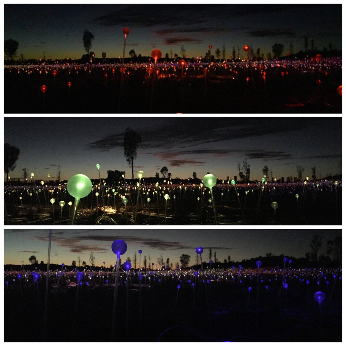 LuxTravelBible's tweet photo. #dawn at the incredible #FieldOfLight #art installation by #brucemonroe in #Uluru @Australia #exploreuluru https://t.co/PQwSY1h94h