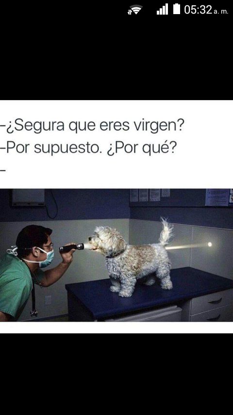 marino_marcano's tweet photo. https://t.co/thAH2Zm3CJ