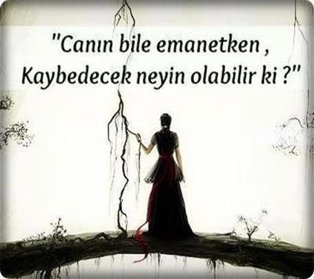 34ayse58 (@ayseeda34) on Twitter photo 