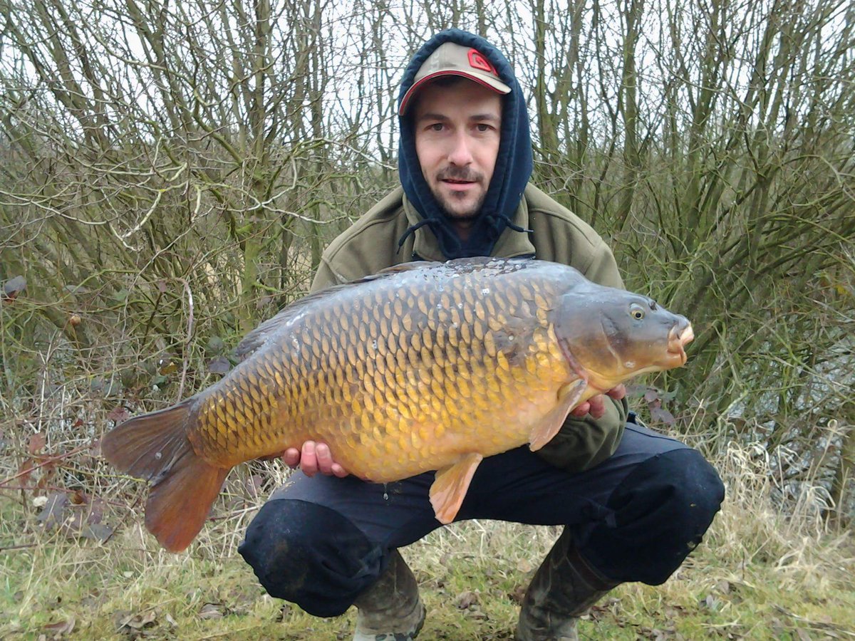 fbowling281's tweet photo. Customer kris Rowley PB common of 22,4oz and 2 other gems of his #syndicate  #RedReaper 50/50 @NorthEastBaits https://t.co/LNiWD02qjs