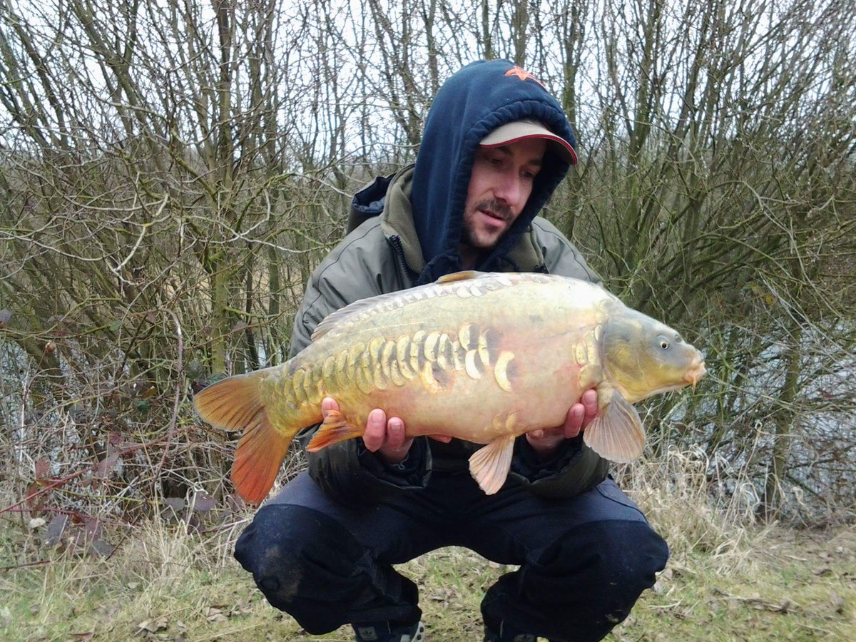 fbowling281's tweet photo. Customer kris Rowley PB common of 22,4oz and 2 other gems of his #syndicate  #RedReaper 50/50 @NorthEastBaits https://t.co/LNiWD02qjs