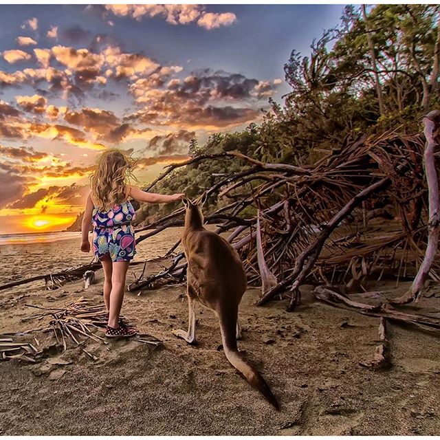 Queensland Australia tweet media