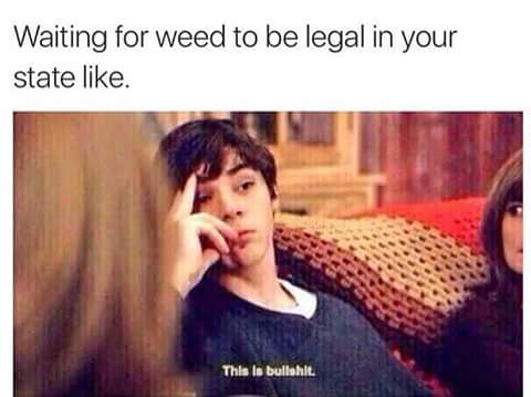weedweekly_'s tweet photo. #weekweekly #weed #stoner #sativa #weedmaps #kush #weedlovers https://t.co/jtgrsqqhvu