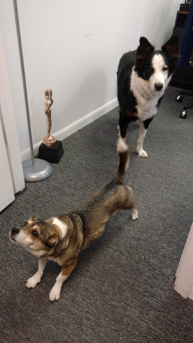 Afternoon yoga at the <a href="/covisco/">CoVis CoWorking</a> memorial shrine to <a href="/andypeters/">Andy Peters</a>. We miss that guy.