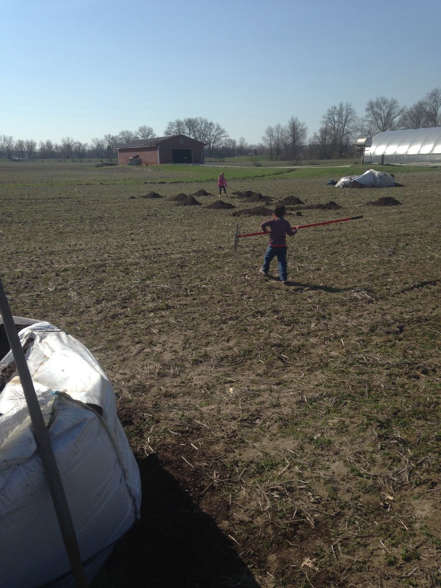 StevenCaravelli's tweet photo. Spreading some nutrient rich topsoil at the farm today. @ButcherySTL garden coming soon! #littlehelpers https://t.co/vMgwbQfmPC
