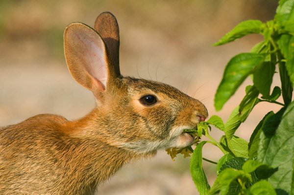 Don't feed the animals shknws.com/1MYTJxm via <a href="/sheknows/">SheKnows</a>