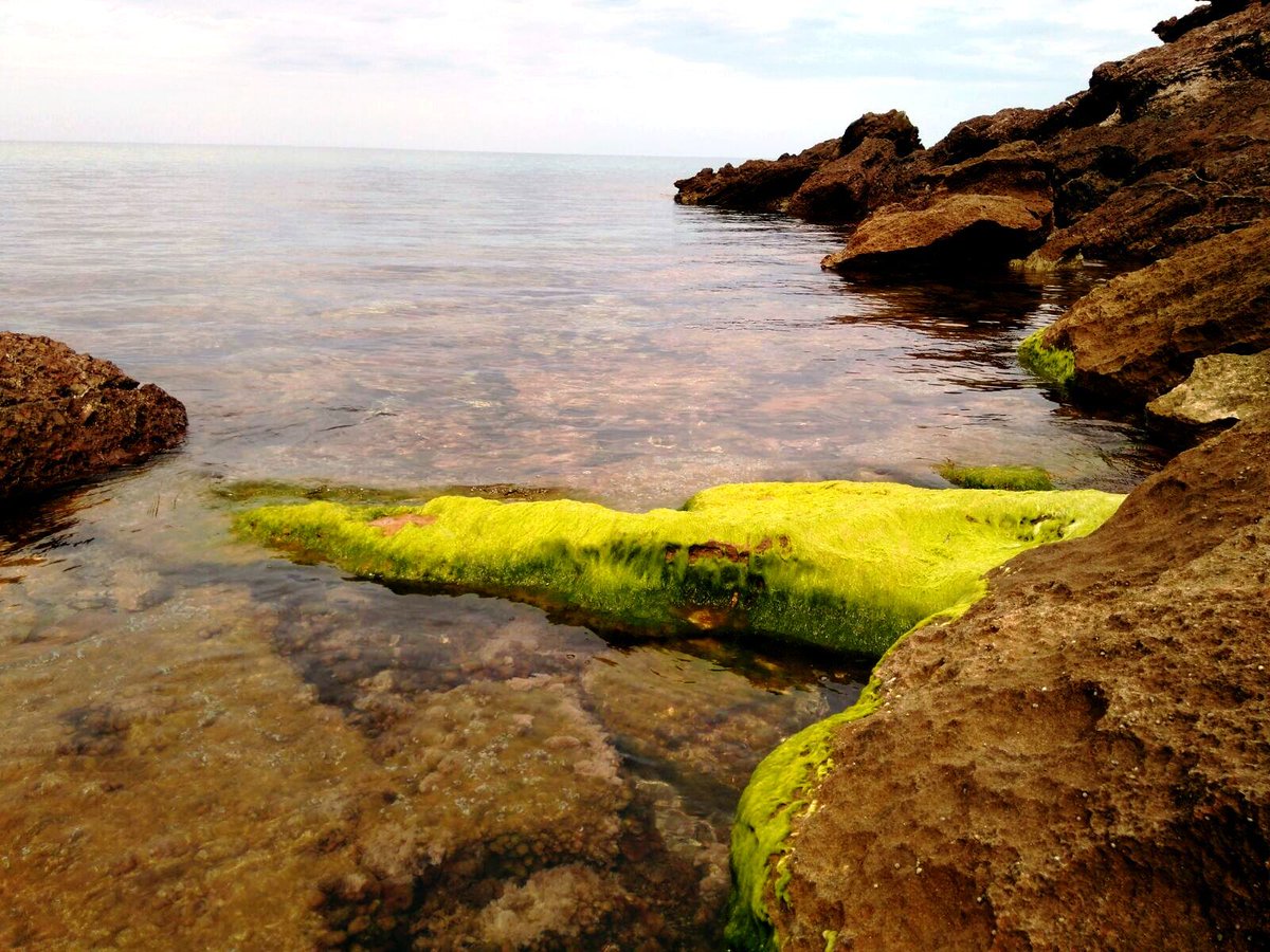 #WorldWaterDayLEQUIA <a href="/LEQUIA_UdG/">LEQUIA-UdG</a>.