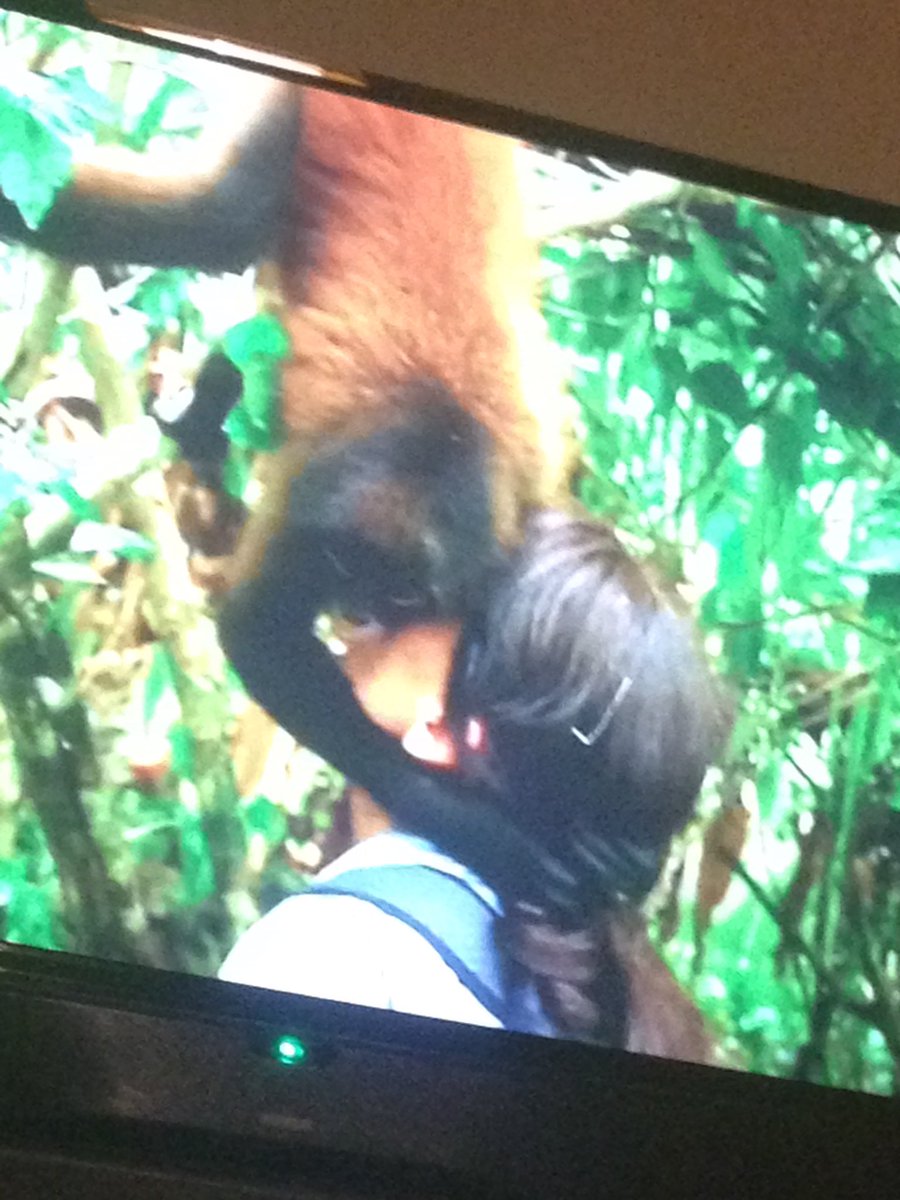adamodell's tweet photo. @ThisisDavina This was the cutest thing ever!! #monkeyhug ❤️❤️ https://t.co/PxIYoAuKZ3