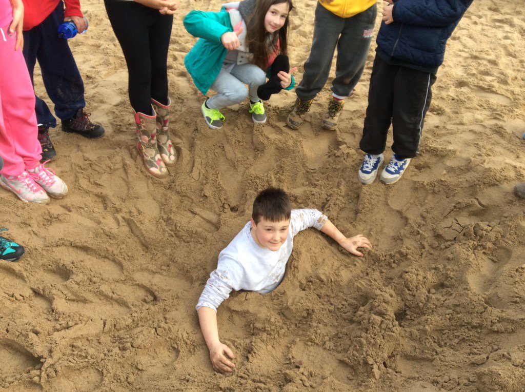 stackpole2016's tweet image. Guillemots start to #Stackpole2016