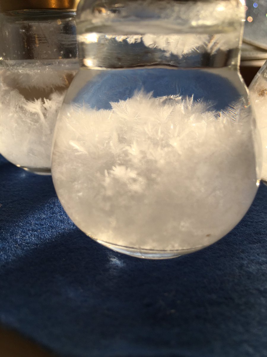 今朝の天気管。もふもふ加減が、たまりません。

#天気管