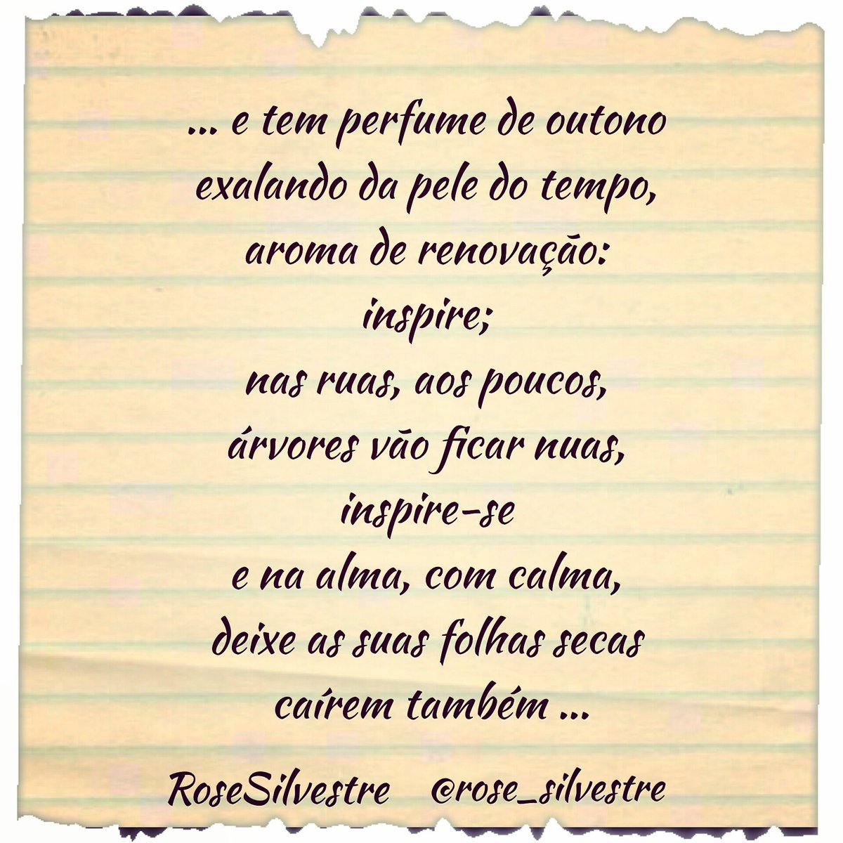 Rose Silvestre on Twitter: "Outono... Inspire... Inspire-se ...