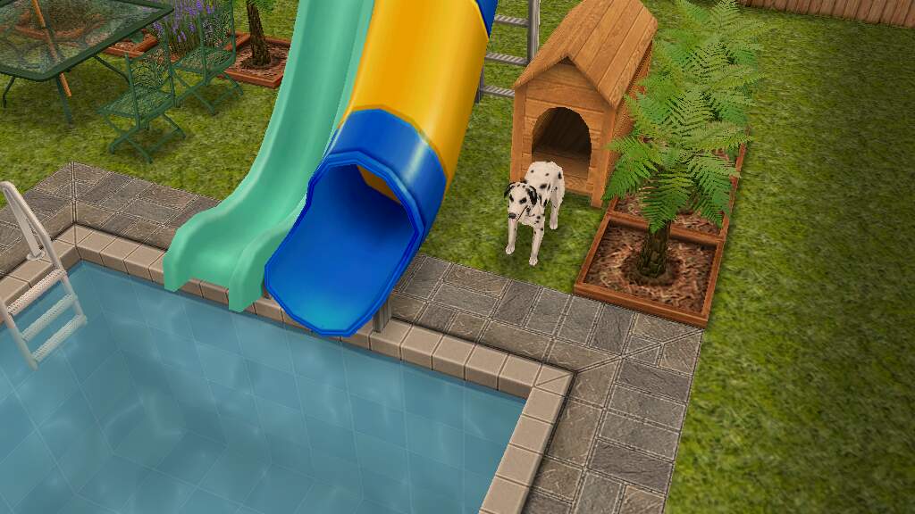 TheSimsLaughs's tweet photo. When the dog has a better spot then you do!🐶🌴 #SimsPets #TheSimsLaughs #TheSims #TheSimsFreePlay #Poolside https://t.co/V22OtfcHWG
