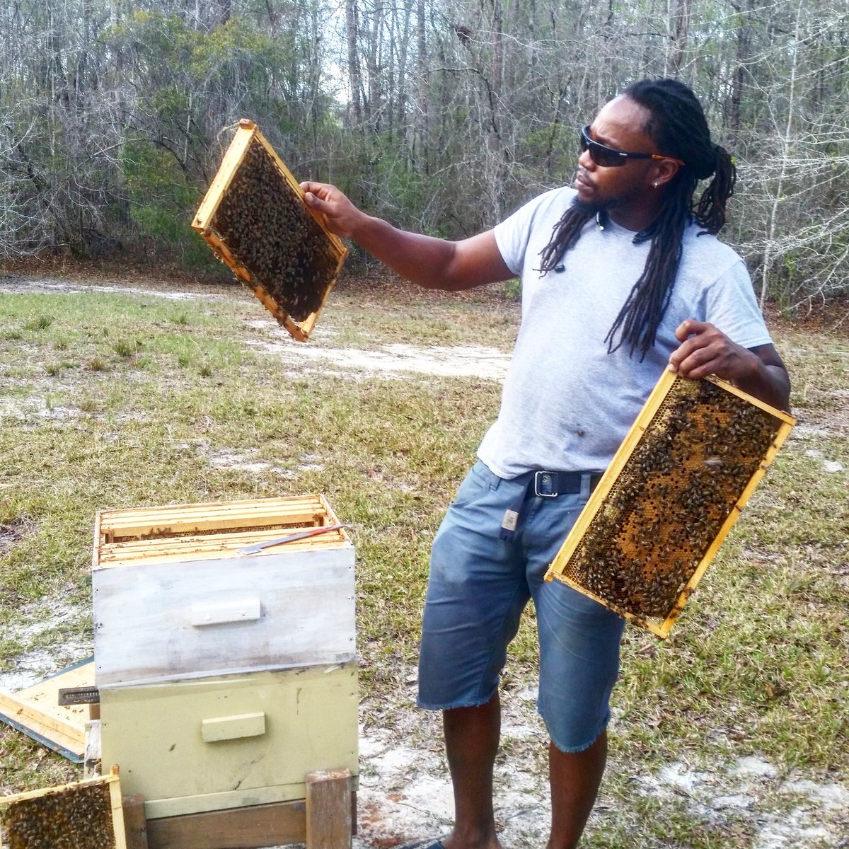 OxxBeekeeping's tweet image. #OxxBeekeeping #HiveInspection #StrongBroodPattern #Beekeeper #HoneyBees #SaveTheBees #Pollinators #BeeComing