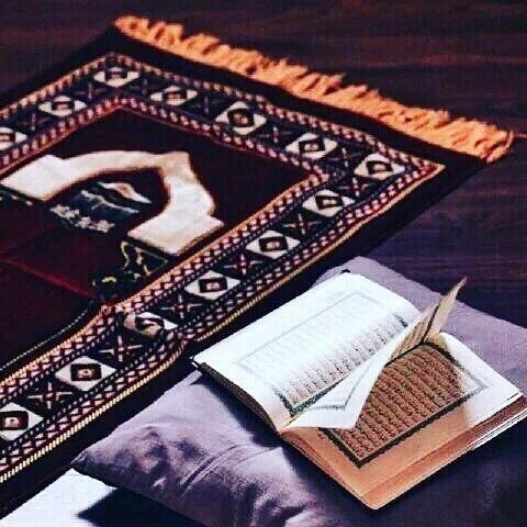 لاقيمة للدنيا بغير قلبٍ متعلق بالله يلجأ الى الله إذا حزن ويحمده إذا فرح ، ويعود إليه إذا أذنب ، ويشكره على كل حال.