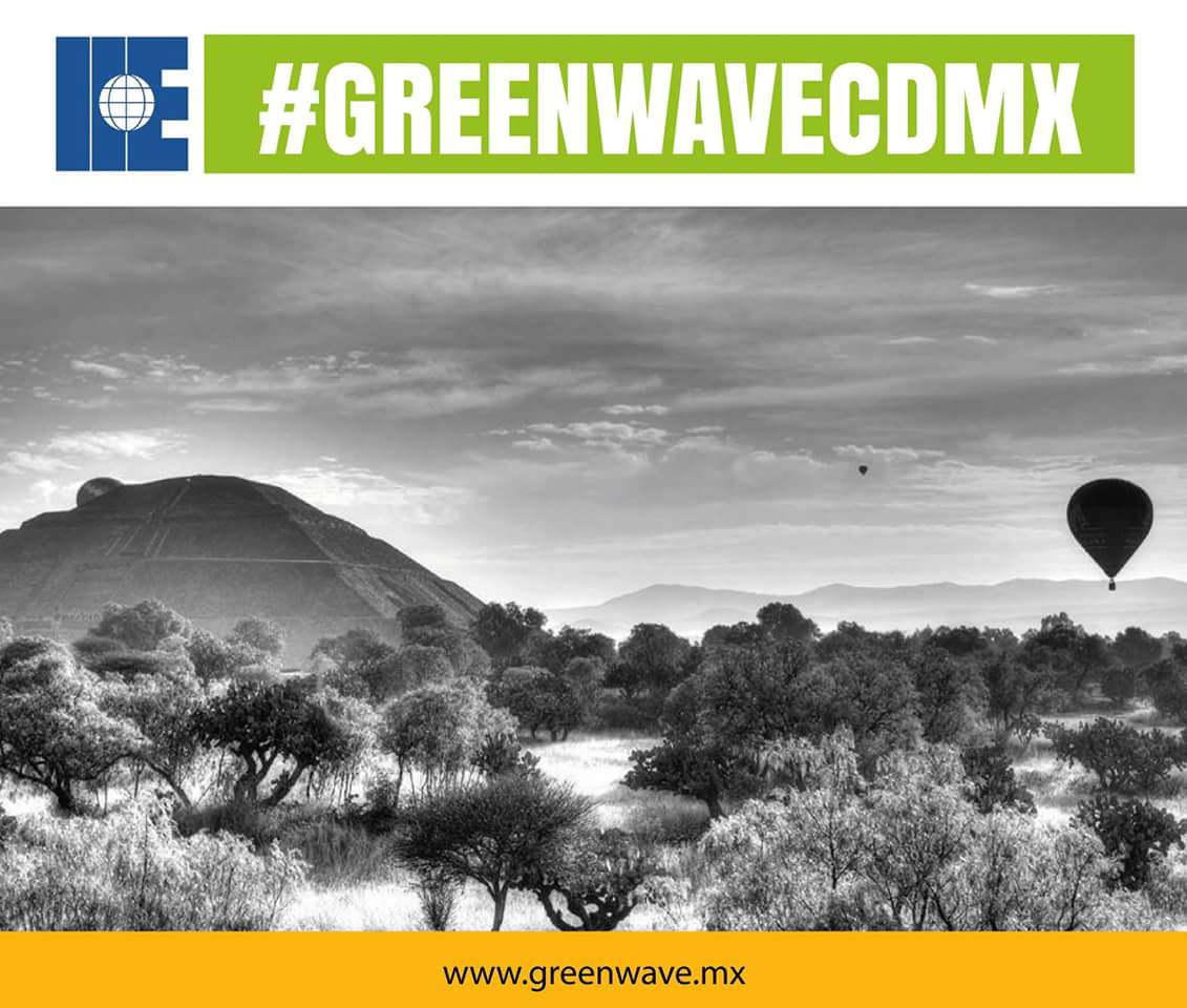 GreenWaveCDMX's tweet photo. #Twitter10Years #GreenWaveCDMX Zona arqueológica #Teotihuacan #networking Será Genial! https://t.co/NynHttFN26