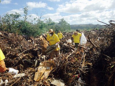 StellaMagPNG's tweet photo. Everything you need to know about the #recoveryprojects aiding our Ni-Vanuatu #wantoks. https://t.co/C8dXKugpZQ https://t.co/uLpKZlqgyQ