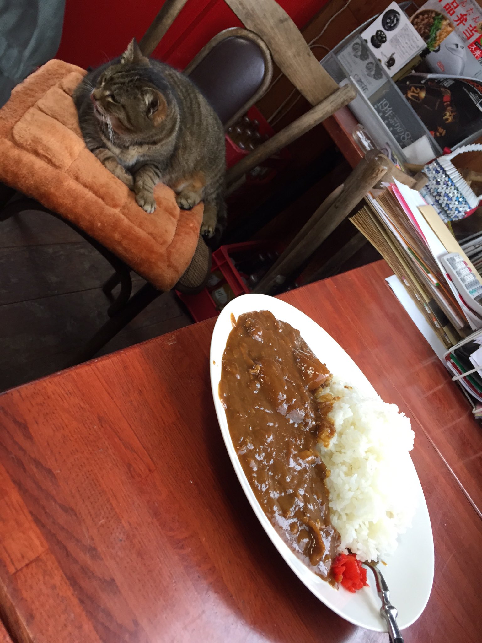 ストリートボンバー 5 3 4日開催 桶スポ名物の桶川猫に戯れに行くのもよし 桶スポカレー食いに行くのもよし そのついでに5 3のストボンに遊びにきてください ノ T Co Scytmjfnlk Twitter ストリートボンバー 5 3 4日開催 桶スポ名物の桶川猫に戯れに行くのもよし 桶スポカレー食いに行くのもよし そのついでに5 3のストボンに遊びにきてください ノ T Co Scytmjfnlk Twitter