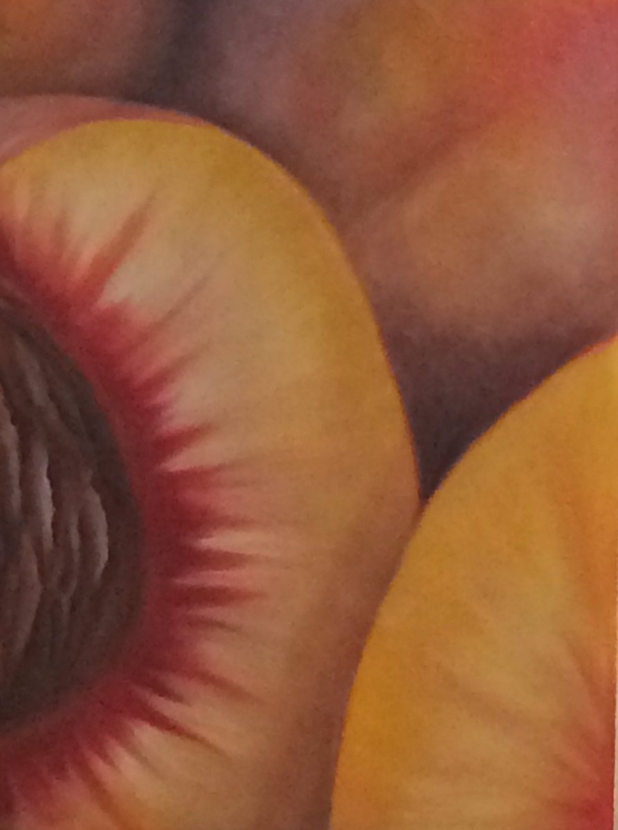 jacklynnmorey's tweet photo. Peaches 
Oil paint 18x24 canvas sheet 
#art #oilpainting #indieart https://t.co/0LHWIRUF8a