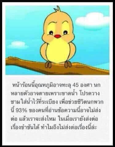 Dekchaikumkom's tweet photo. #ทวิตดีคนรีน้อย https://t.co/y0mdMmnDF3