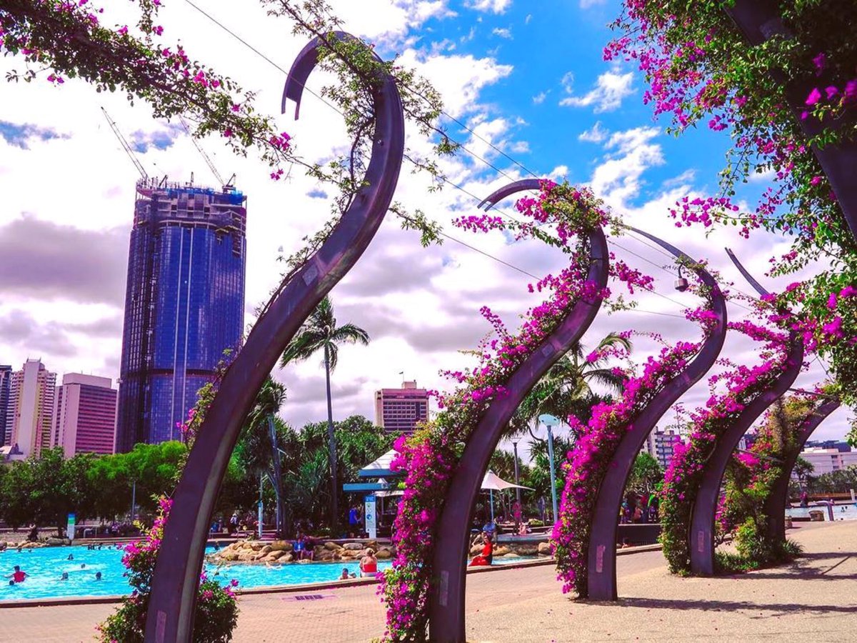 Mackay Airport tweet media