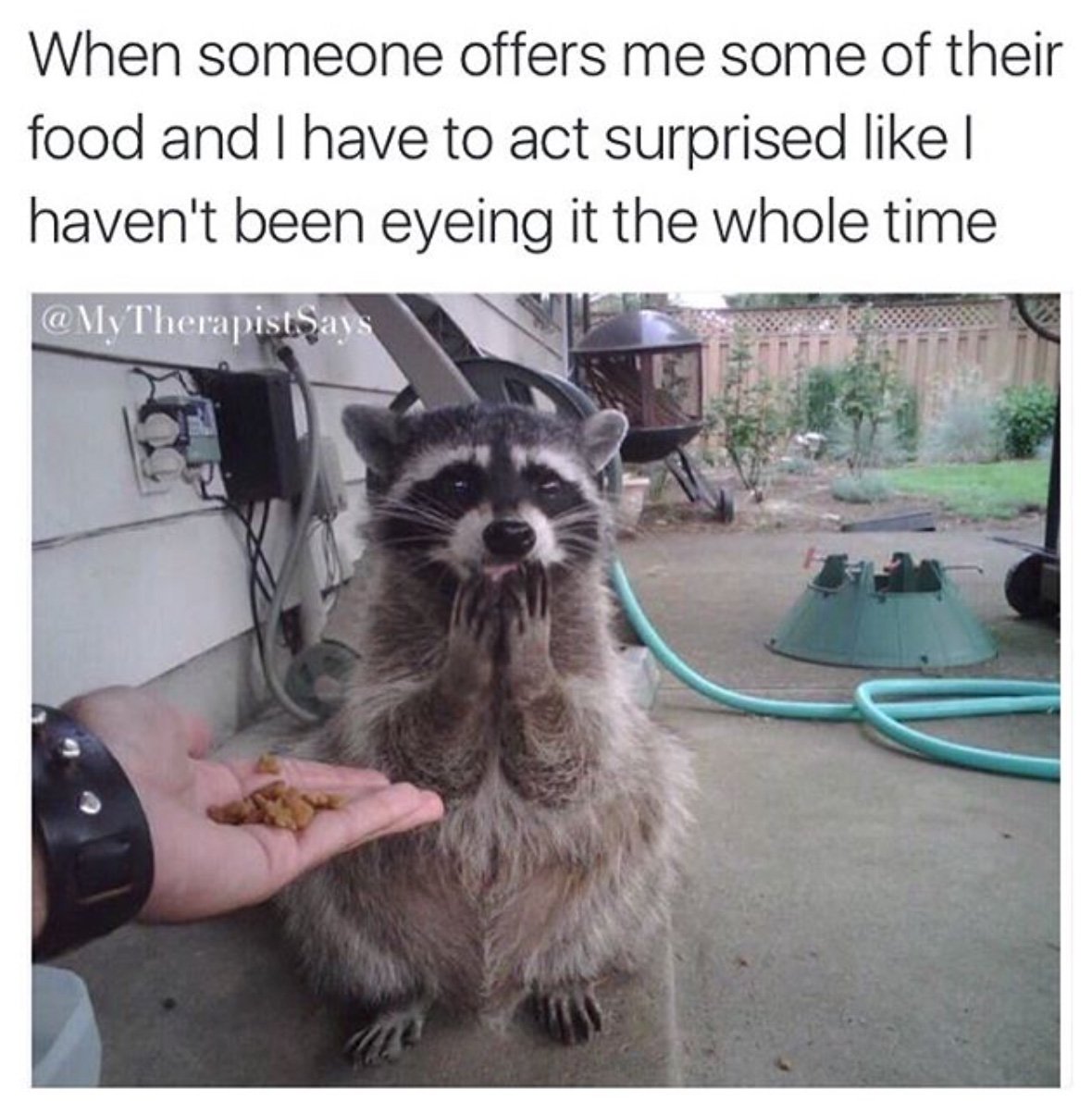 Men's Humor tweet media