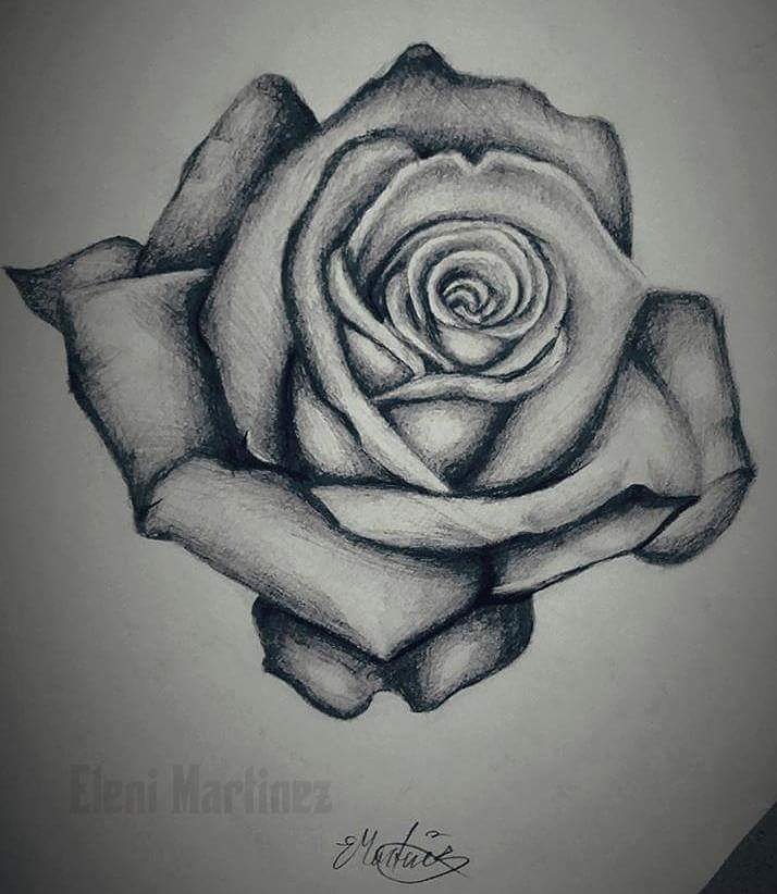 Eleni Martinez on Twitter: "Rose.. I love drawing them. #Love #roses #SKETCH  #amdrawing #art #artist #drawing https://t.co/KZIFaC1vCA" / Twitter