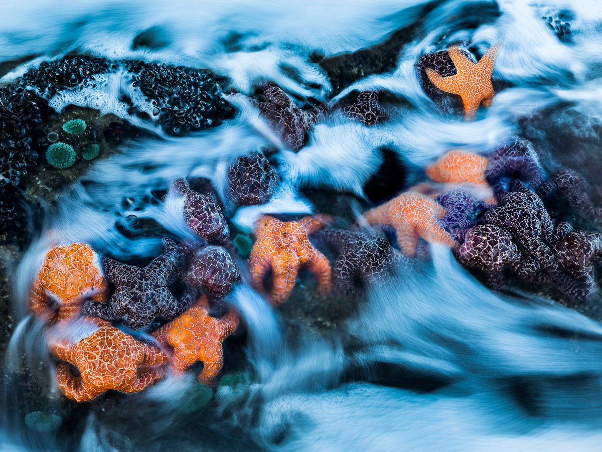 theartbo's tweet photo. Dreamscapes by @ianplantphoto --> https://t.co/IPhb73dWhA #TheArtbo #Photography #nature https://t.co/hKy1qXSXsW
