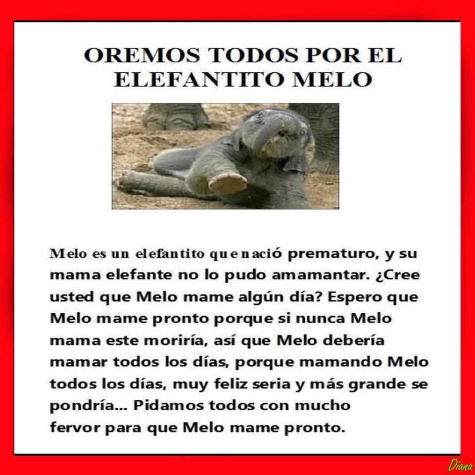 Diego_QAC's tweet photo. Es viejo, pero como dice Mirtha, el publico se renueva @TuquiSoy https://t.co/R7InJmgV3e