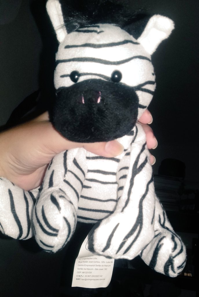 piscilanaa's tweet photo. Ganhei um filho novo c um nome bem peculiar... ๐๐ญ๐ #Azebra #mtoriginalessenome https://t.co/k1k3CoRMRG