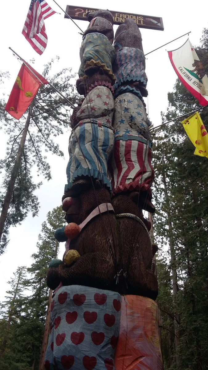 taylor__gene's tweet photo. I wanna go back to confusion hill
#theredwoods #avenueofthegiants #circusbears https://t.co/F7RnlCF0KR