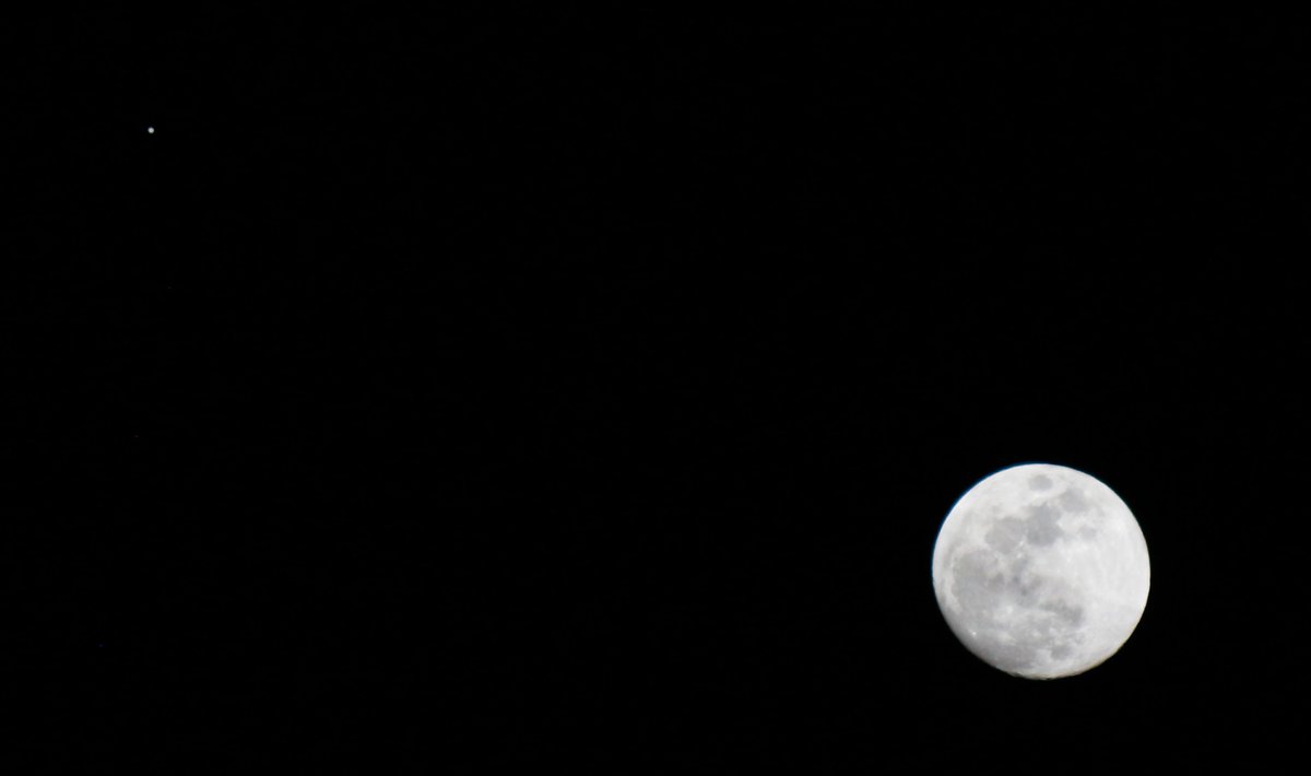 AstronomyDays's tweet photo. The moon is temporarily (tonight only) cozied up just 2º from Jupiter tonight, very easy to find #GOOUTSIDEANDLOOK! https://t.co/fxxT35n8af