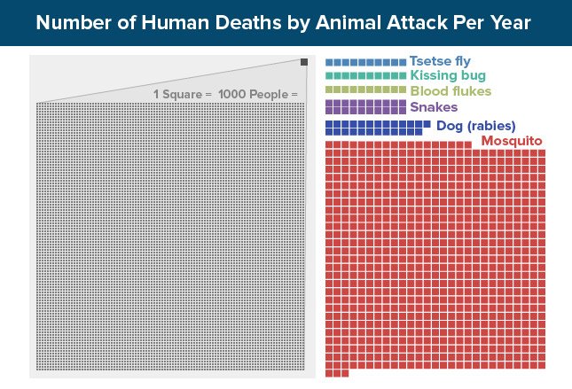 Medscape's tweet photo. Deaths from mosquitoes exceed all other animal-related deaths. More in our slideshow #Health https://t.co/t6Xl6NOBrx https://t.co/BRo4GfnmPW