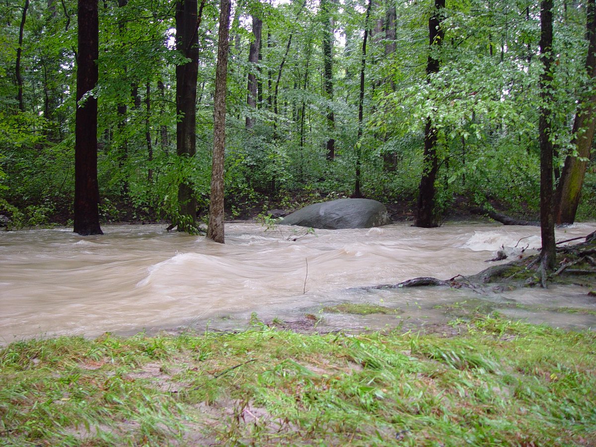 RCCrva's tweet photo. #ReedyCreek in a light rain. #400trees TO BE DESTROYED #RVA Learn more & sign the petition: https://t.co/jDoWp6OVqZ https://t.co/cAfrlpHN31