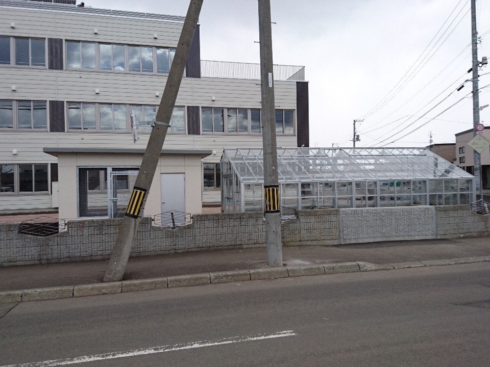 Mazda_nao_'s tweet photo. 篠路小学校の新校舎が綺麗すぎて凄い!
うさぎ小屋と温室もピカピカしてる、
#shinoro https://t.co/8u8KXjeZ1f