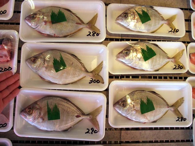 土佐の魚屋 鮮魚山もと Tosa Sakanaya 16年03月 Twilog 土佐の魚屋 鮮魚山もと Tosa Sakanaya 16年03月 Twilog
