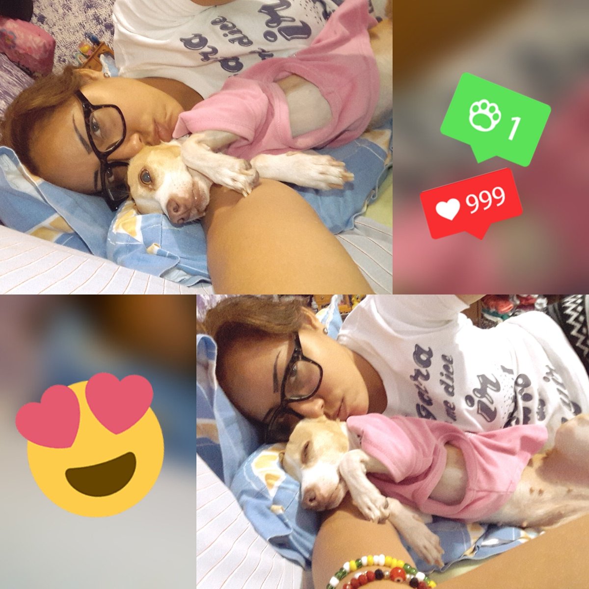 MoonttR's tweet photo. El amor de mi vida #princhecha #Pucca β€πΆ https://t.co/AS0hkg5Hng