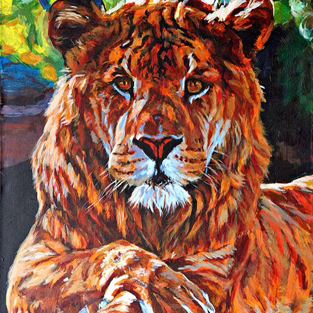 dubipaintings's tweet photo. #lion #kingofthejungle #painting #acrylic #art https://t.co/2qD3LRpinB