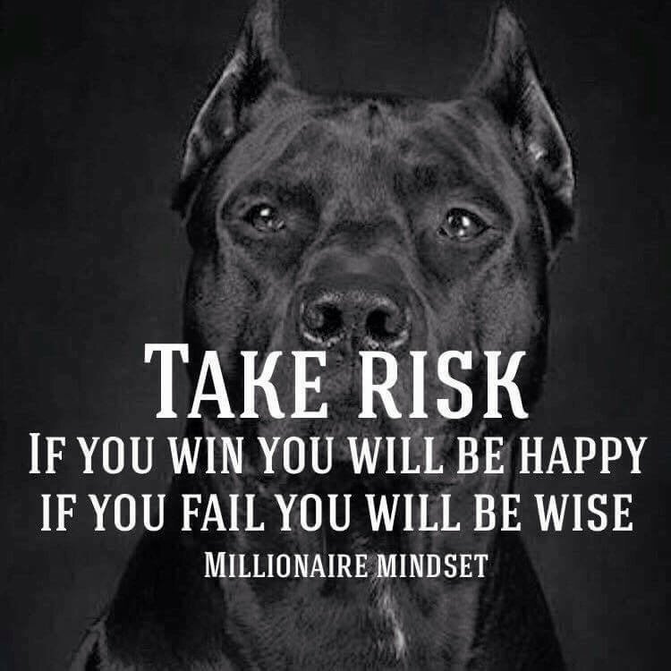 ED.M (@docrobhoo) on Twitter photo 